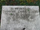image of grave number 173215